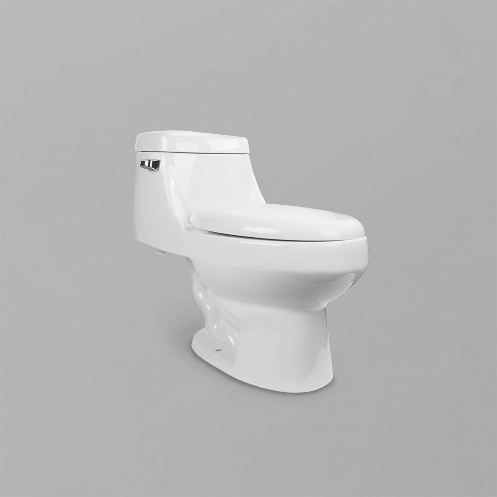 Acritec 31050 One-Piece Elongated Toilet Side View White