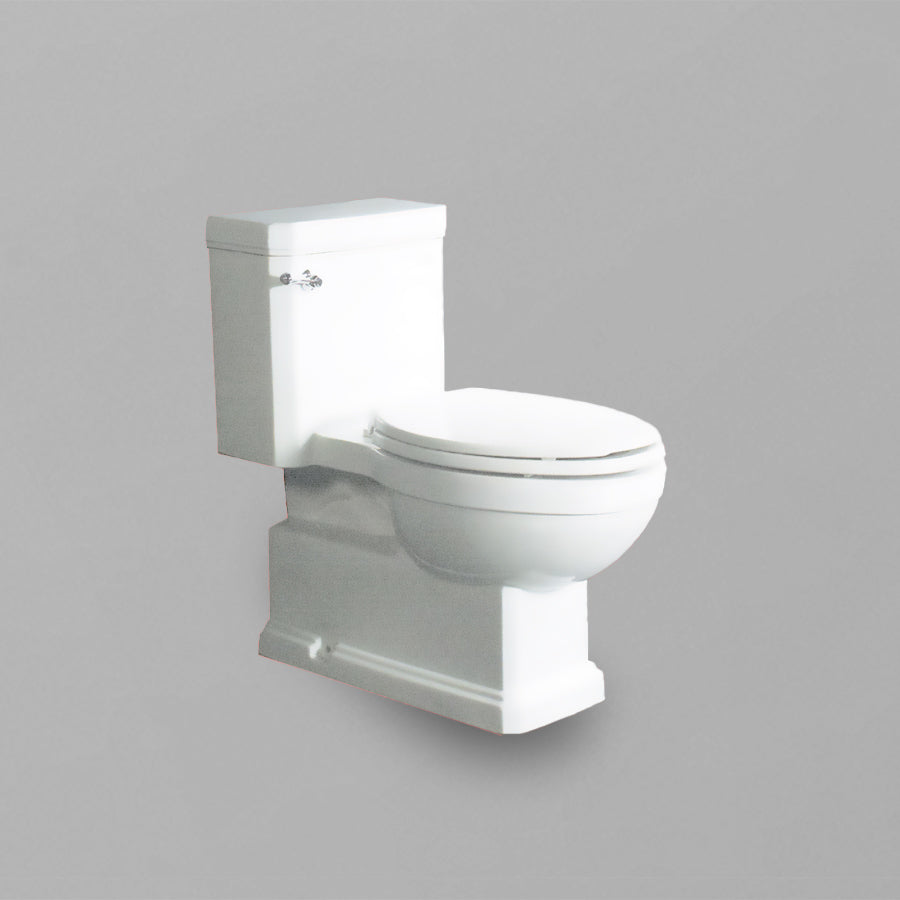 Acritec 31100 One-Piece Elongated Toilet Side View White