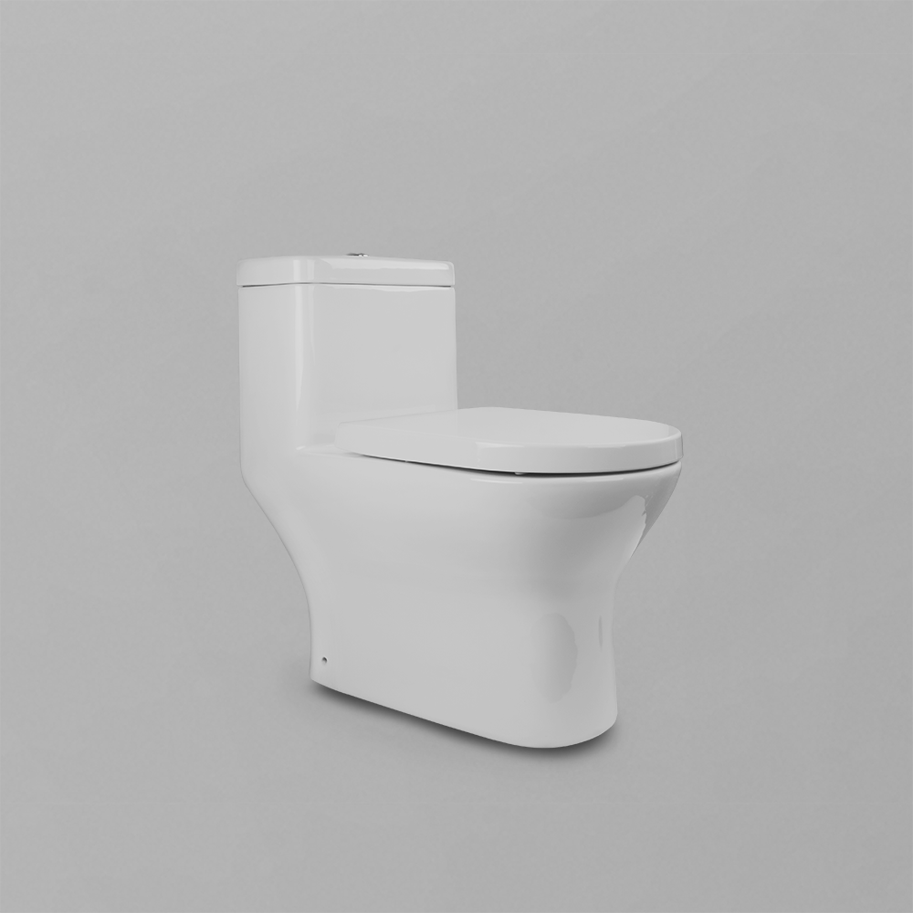 Acritec 31120 One-Piece Concealed-Trap Elongated Toilet Side View White