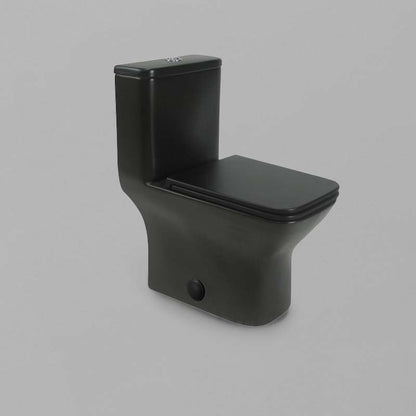 Acritec 31201-BLK One-Piece Square-Front Toilet Matte Black