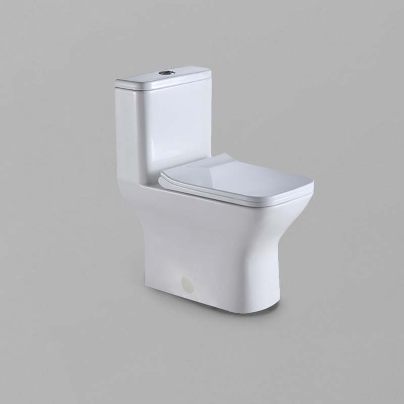Acritec 31201 One-Piece Square-Front Toilet White